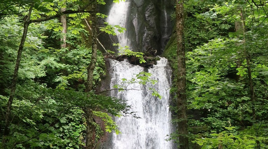 🏞️ 구모이노타키 폭포 이미지 1